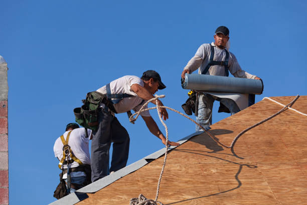 Best Storm Damage Roof Repair  in Union City, OH